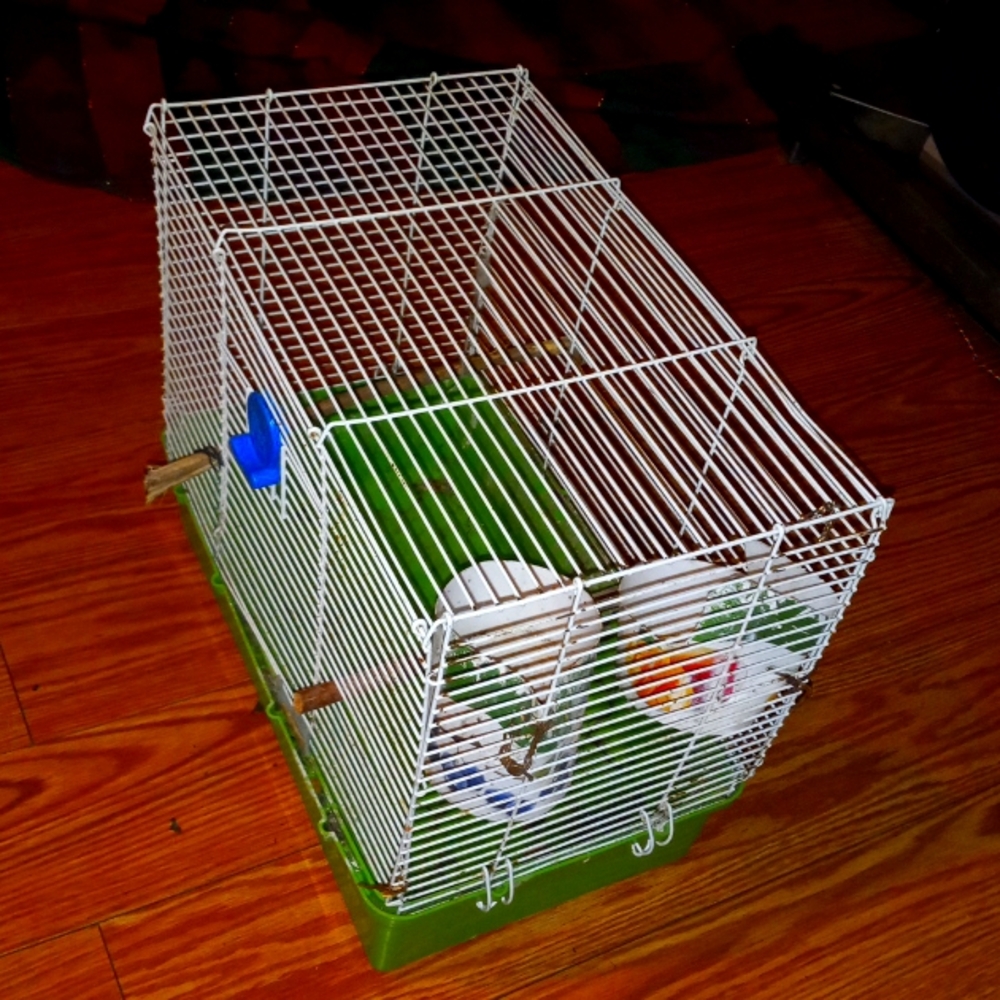 BIRD CAGE METAL WITH metal DOOR